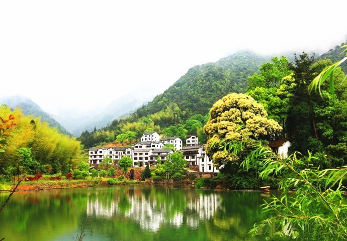 浙里有座藏在大山里的小香港，低调得让人心疼，高铁2h即达！
