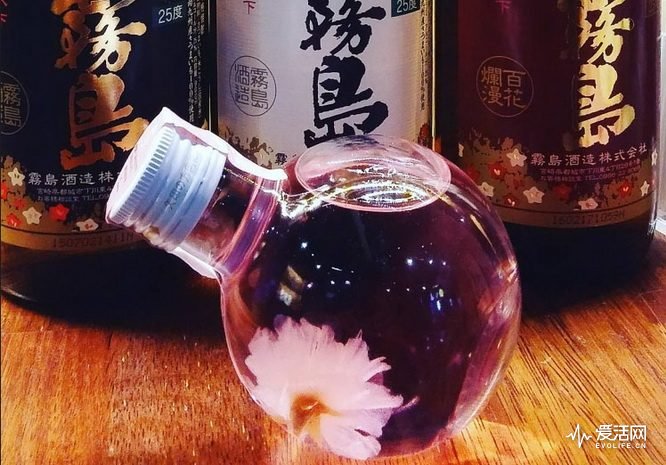 春日花草点缀我的家,春日暖阳户外用品