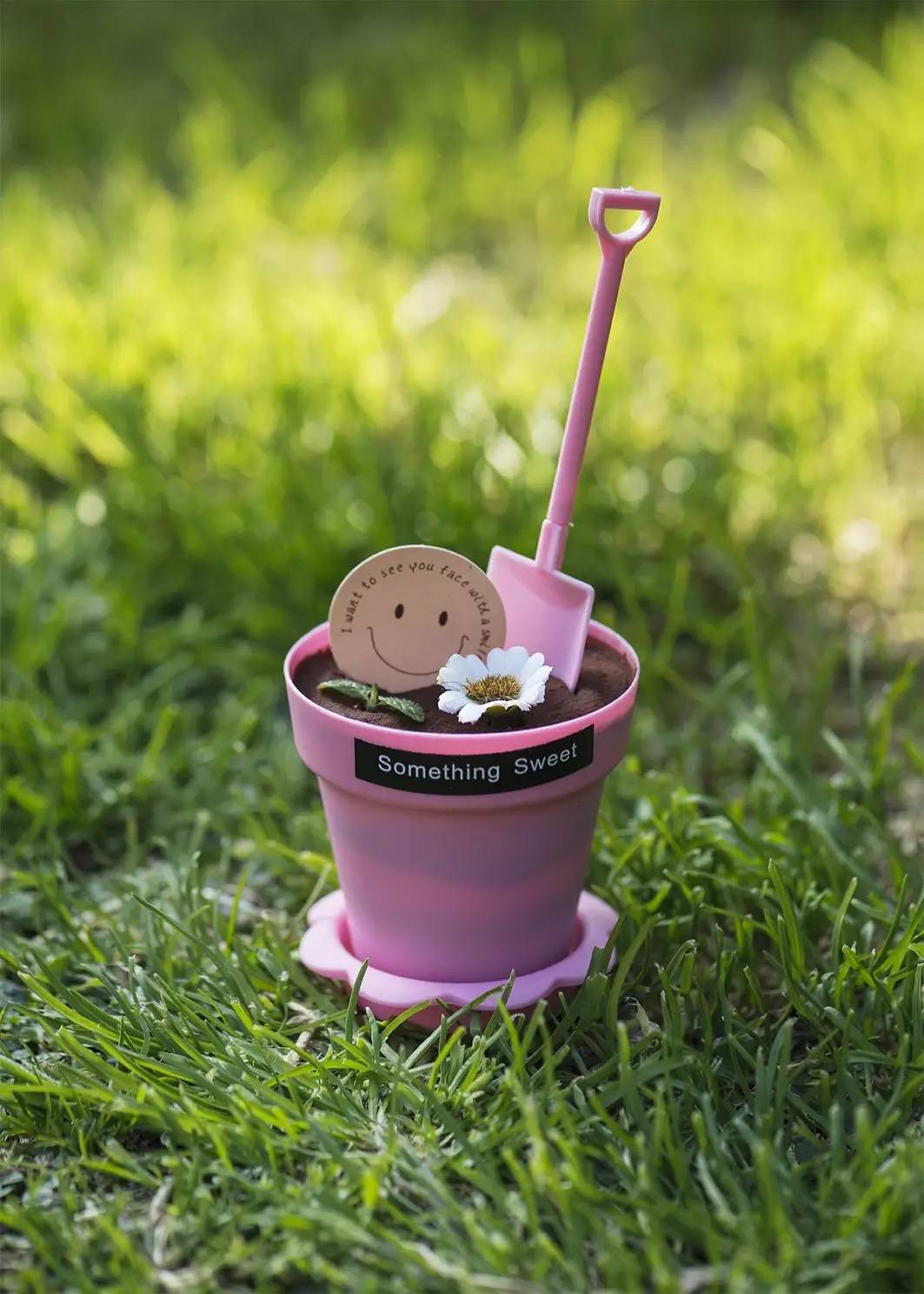 海边野餐的仪式感,野餐也是春天的仪式感吧