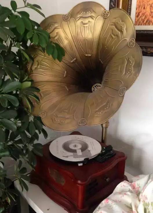 入住攻略是啥,攻略住宿