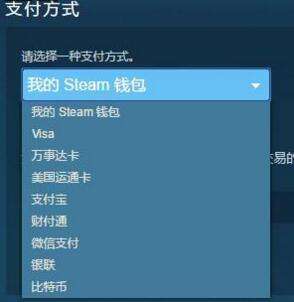 steam怎么买游戏怎么用银联微信支付充值