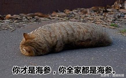 孕妇吃的感冒食品,孕妇生病适合吃什么食物