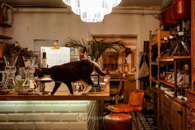 上海咖啡地图,全国咖啡地图