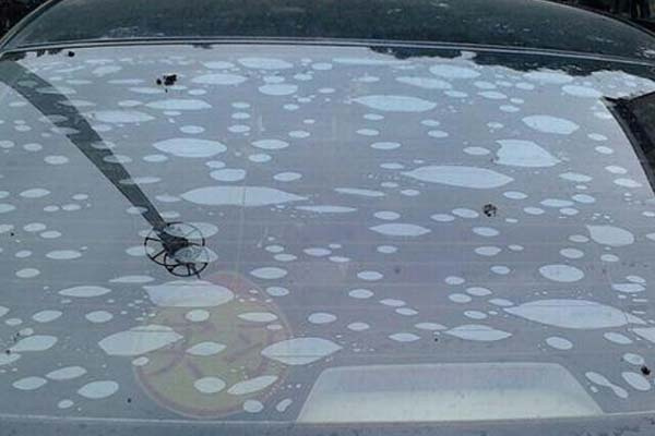 汽车膜品牌排行榜前十名报价,千元汽车膜哪个品牌好