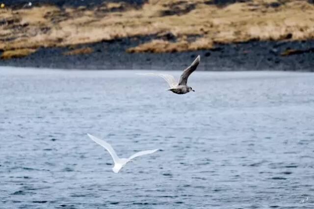 嗨哩文旅丨邂逅外星球，X-Pro2的冰岛考验！