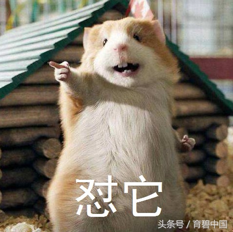 “育碧星玩家”奈落虎：你好，这里是玻利维亚