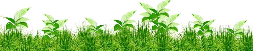 清明节上坟是挂坟还是烧纸,清明快到了