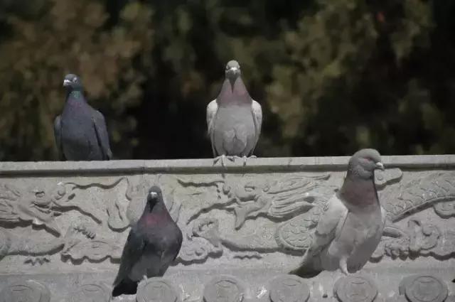 北京很多人不知道的景点,密云很少人知道的地方