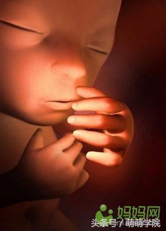 孕期1到40周胎儿发育全过程,胎儿发育40周全过程动态画