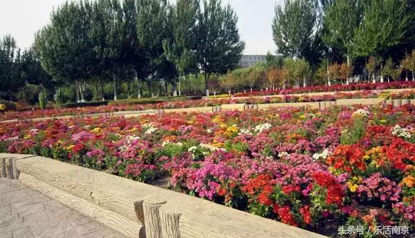 免费公园南京,南京十大公园排行榜