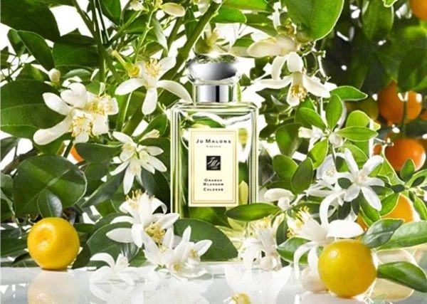 十大冷门好闻的香水,高档小众冷门香水女士款