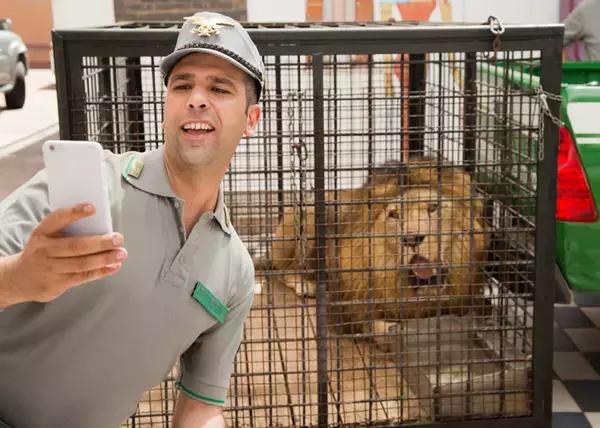 十部9.0高分喜剧电影奇幻,好看的喜剧动作电影推荐几部