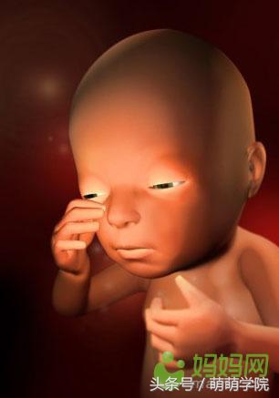 孕期1到40周胎儿发育全过程,胎儿发育40周全过程动态画