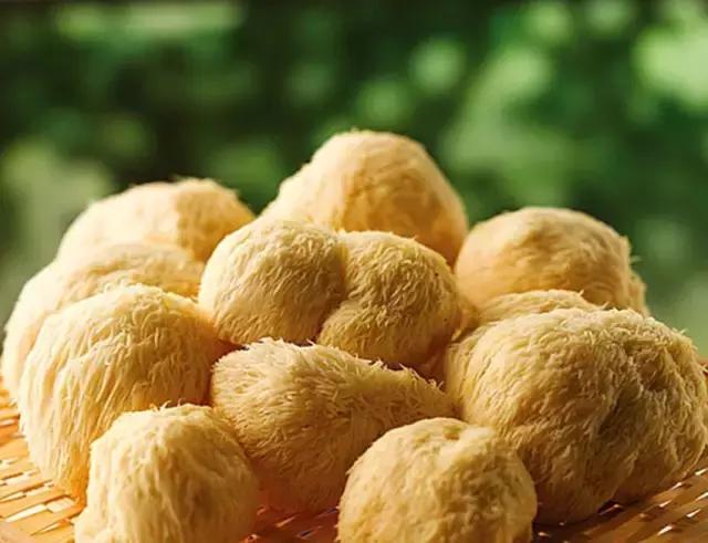 山核桃发展现状及对策,垦利开发区陈金海