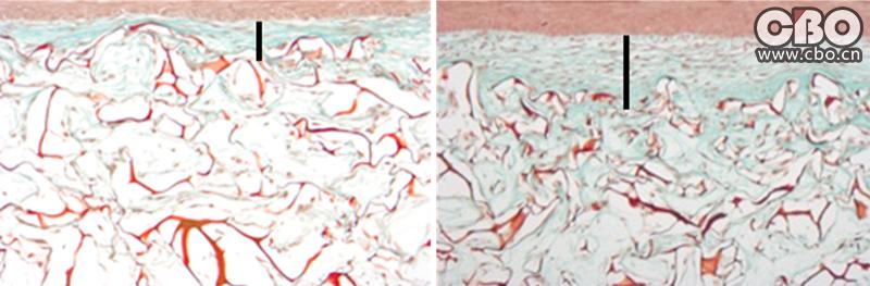 自然堂凝时冰肌水浑浊还是清澈,自然堂年销售