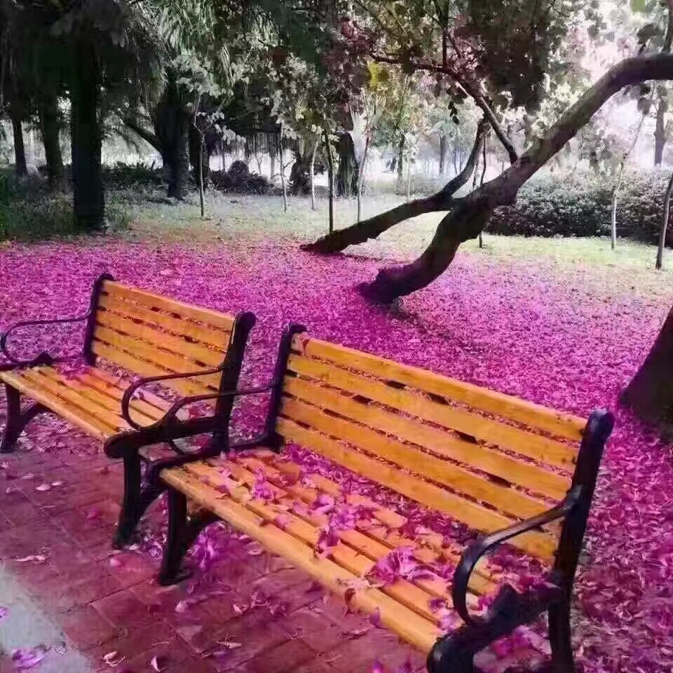 怎样判断鱼缺氧,鱼缺氧有效方法