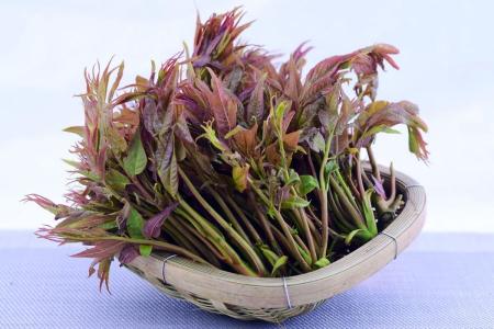 春季野菜大赏选对种类健康又美味,开春吃野菜的讲求