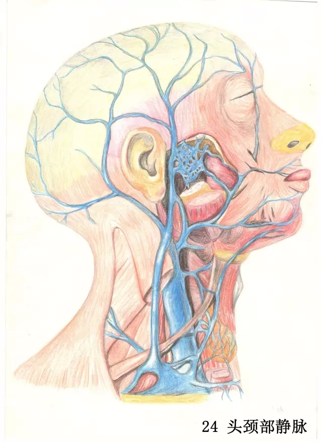 正所谓画骨画皮也画心,画皮画骨还画心