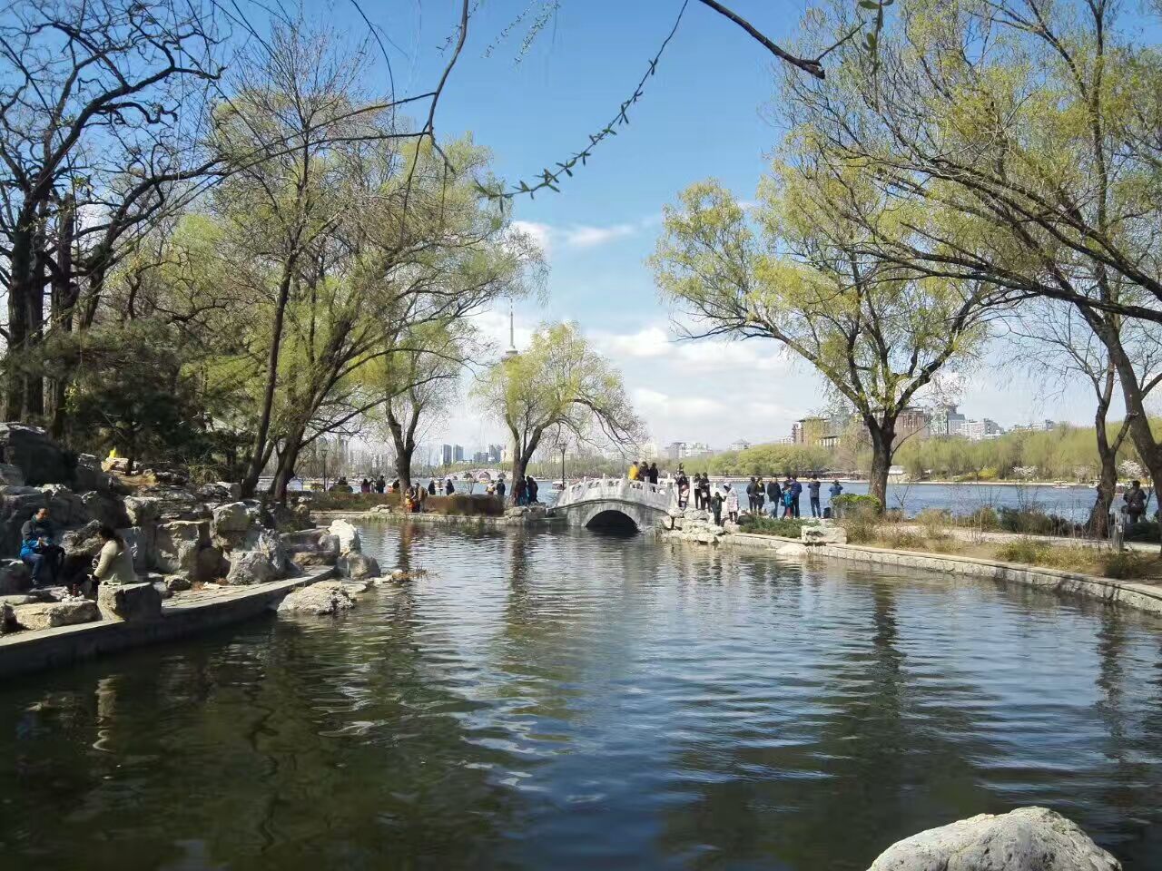 怎样判断鱼缺氧,鱼缺氧有效方法