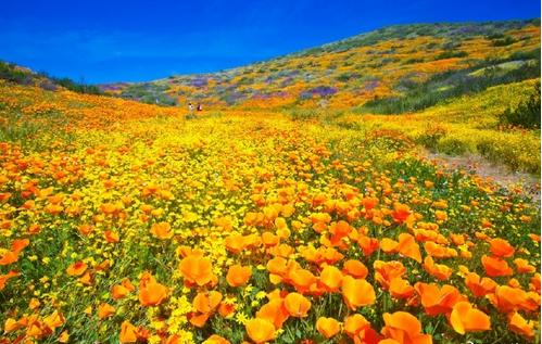 美国钻石湖,美国钻石公园游玩