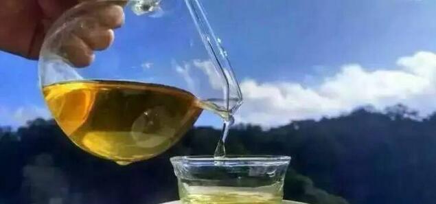 老班章古茶采摘,老班章茶后采茶仪式