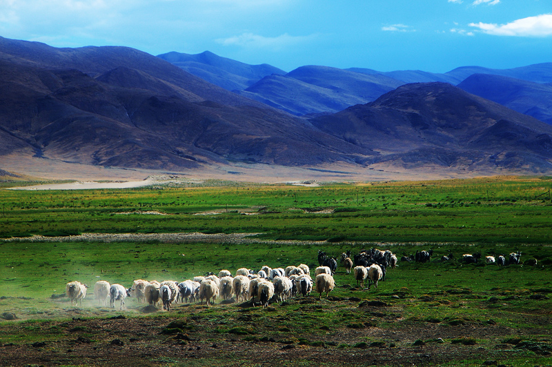 清明三天假如何度过,去拉萨旅游清明注意事项和禁忌