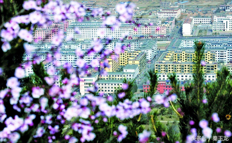 甘肃平凉的平凉话,平凉泾川县话