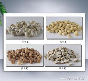 半夏秫米汤治疗哪种失眠,半夏秫米汤治严重失眠视频