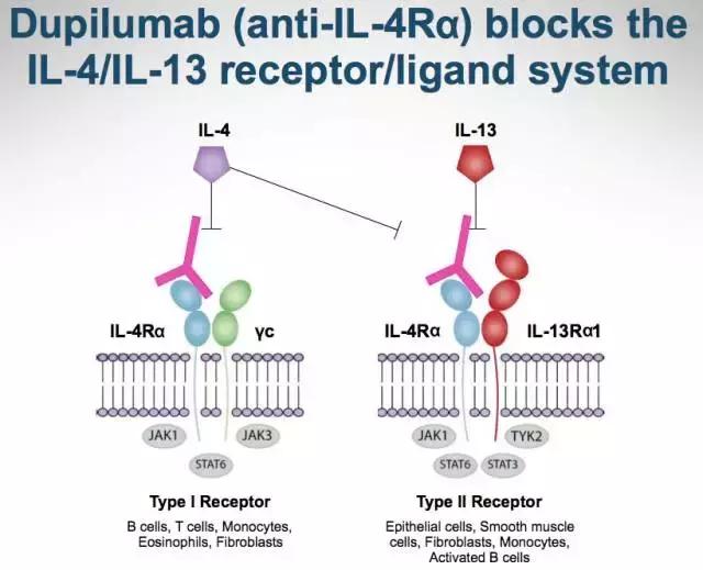 靶向药湿疹,fda治疗湿疹新药