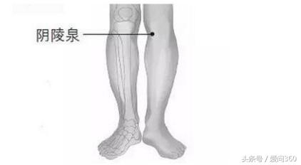 解决身体湿气的中药方子,身体湿气重吃什么药最好最快排湿