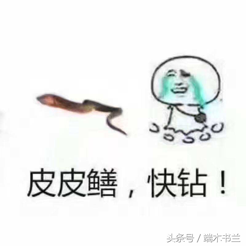 黄鳝灵异故事,黄鳝惊悚民间故事