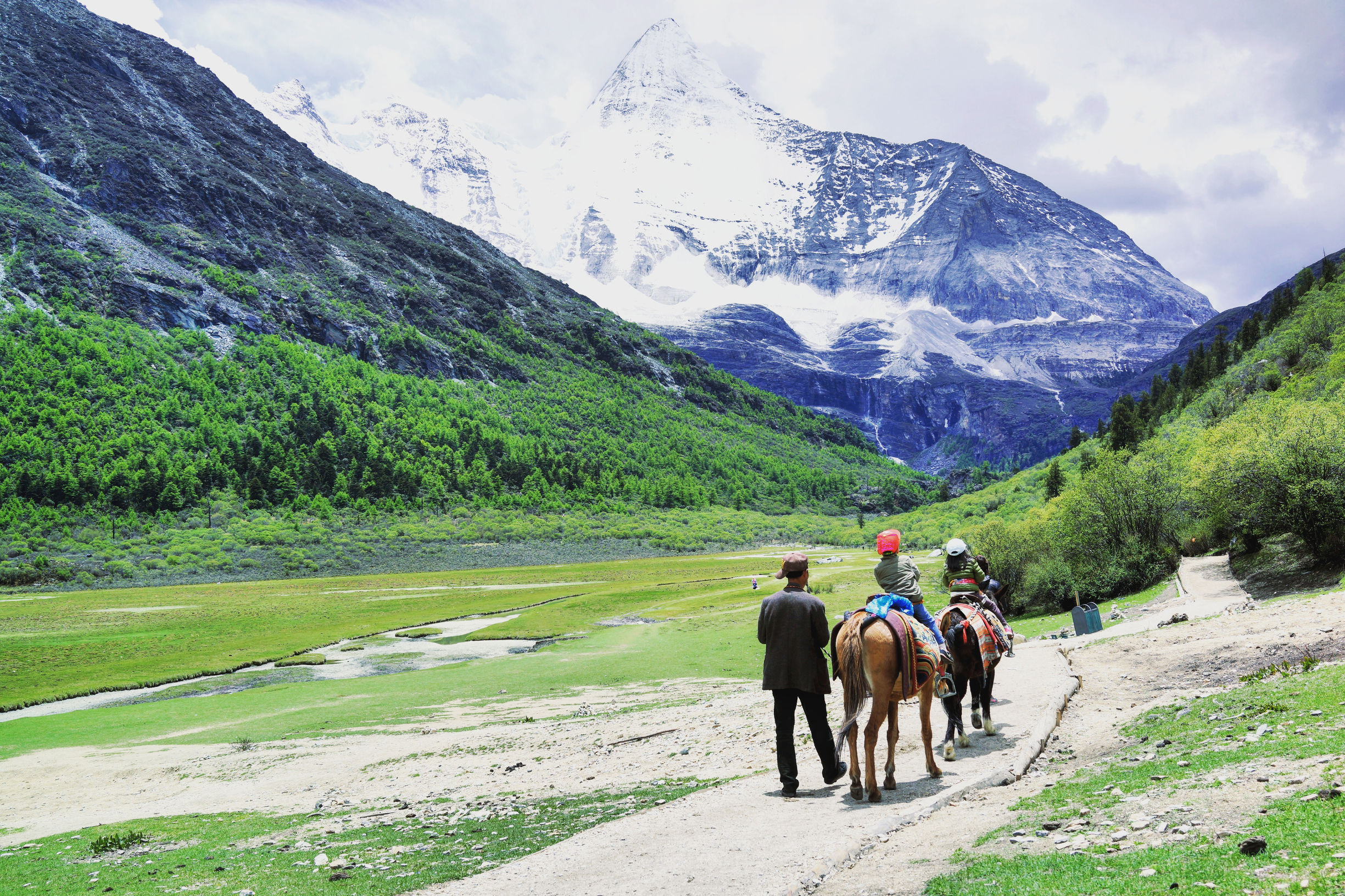 祭奠流逝的青春（五）开始找工作了