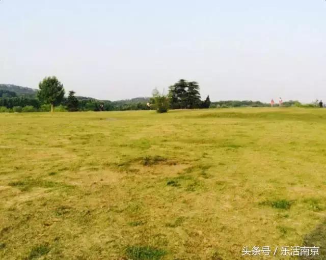 免费公园南京,南京十大公园排行榜