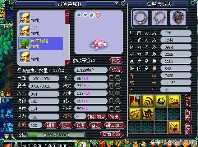 梦幻西游59大爷装备展现,梦幻西游69力地府详细攻略