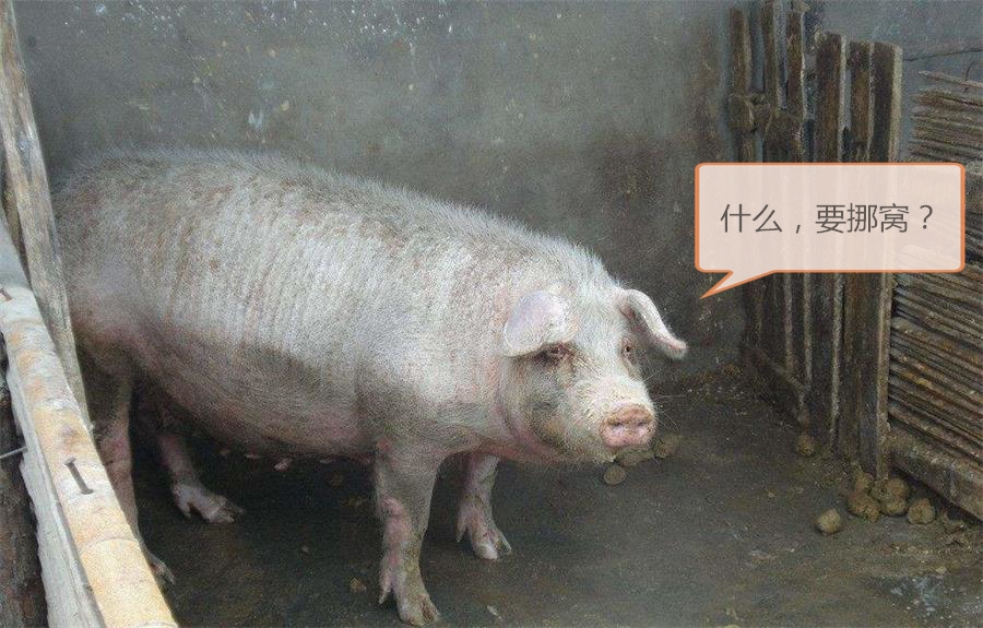 公司小偏僻如何招人,小微企业为什么难招人