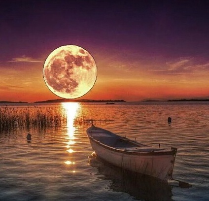 从三毛流浪记中感悟,三毛的经典一句话