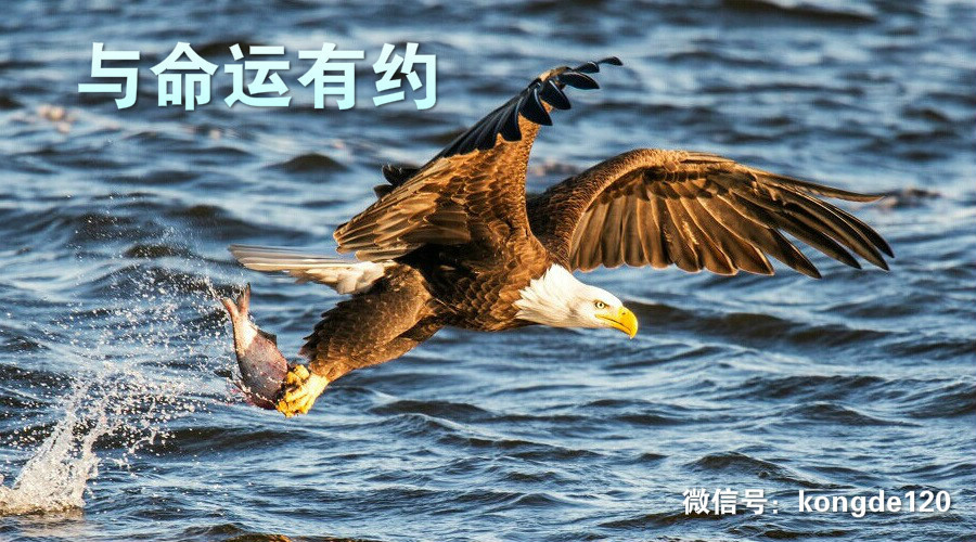 强制症如何自我疗愈,强制症的自我治疗方法