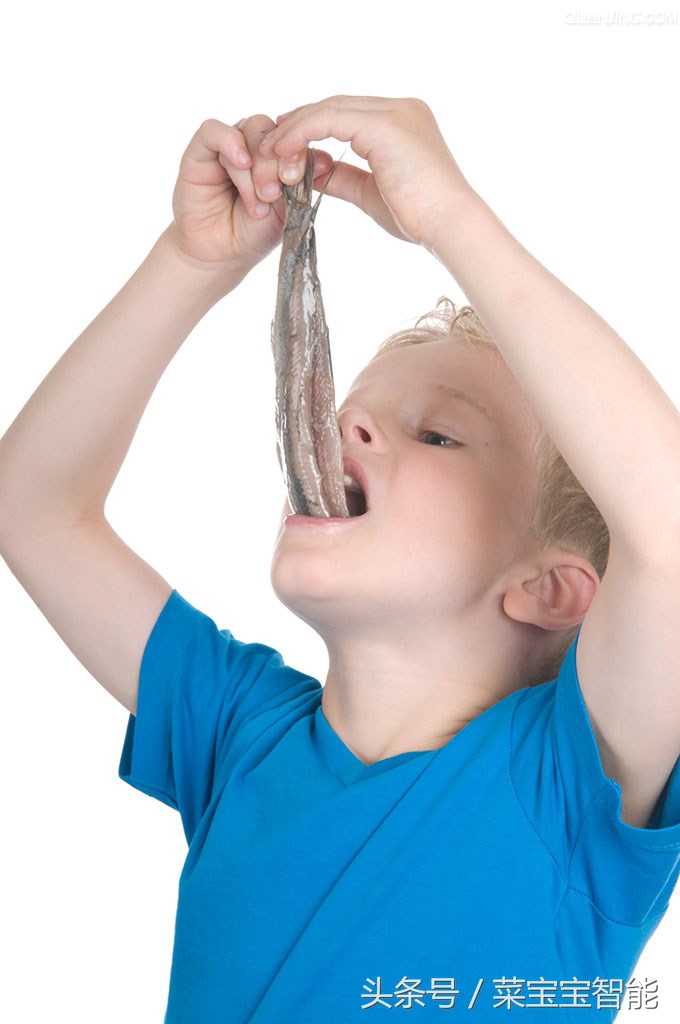 为什么喜欢吃鲱鱼,爱吃鲱鱼