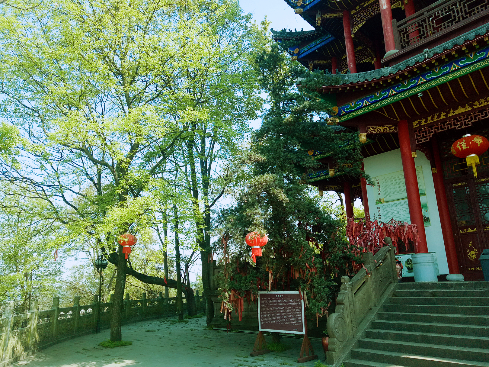 陶氏清明节宗祠祭祖大典,广西桂林平乐县陶氏清明祭祖