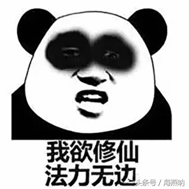 几大热门的小说网站有哪些,常见的小说网站有哪几个