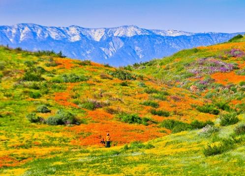 美国钻石湖,美国钻石公园游玩