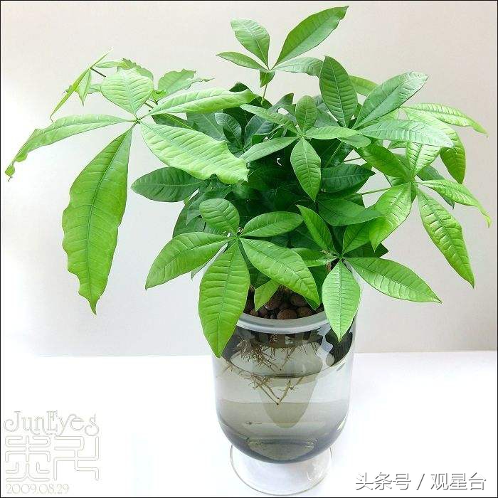 让财气丰盈的9个玄学小妙招,能让自己财运变好的风水法术