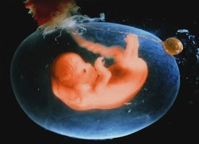 孕期体重不变胎儿有变化吗,孕期胎儿发育对比图