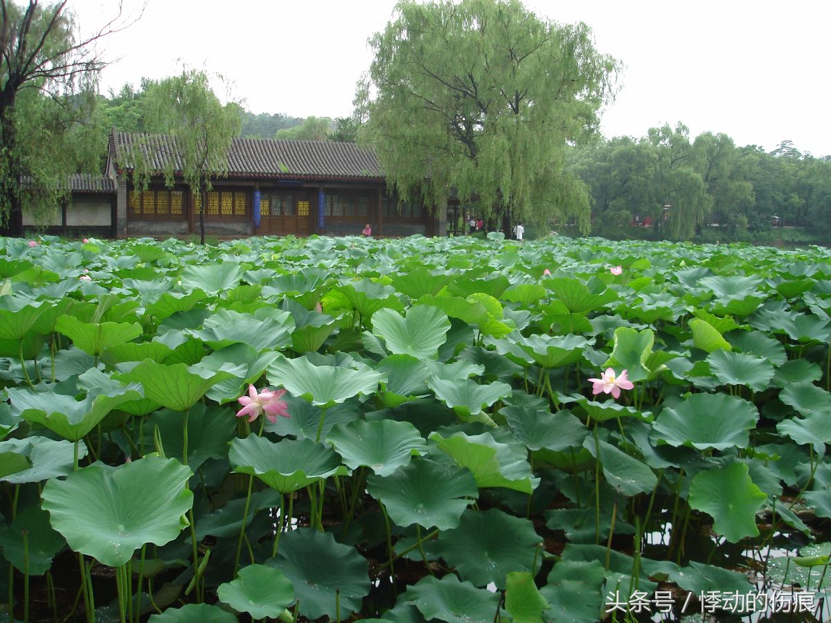 从北京到承德自驾游,从北京到承德攻略