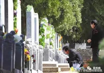 清明陵园交通管制最新,清明墓区交通管制