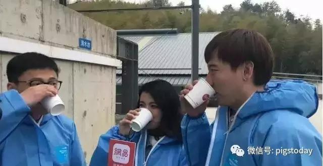 丁磊谈养猪视频,丁磊高科技养猪