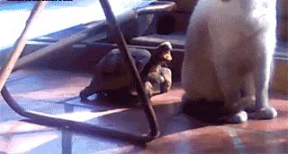 低频隔音效果好不好,低频隔音效果如何