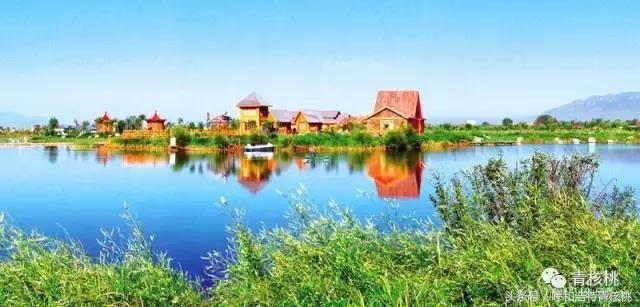 清明陵园交通管制最新,清明墓区交通管制