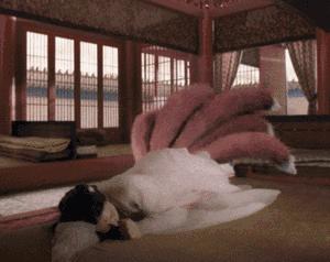 狐狸精平常表示什么,狐狸精是夸人还是骂人的