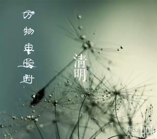 气清景明万物生长意思,清明节风和日丽万物萌生